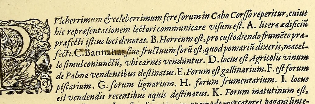 An illustration from Indiae Orientalis pars VI. Veram et historicam descriptionem auriferi regni Guineae, ad Africam pertinentis, quod alias littus de Mina vocant, : continens, qua situs loci, ratio vrbium & domorum, portus item & flumina varia, cum variis incolarum superstitionibus, educatione, forma, commerciis, linguis & moribus, succincta breuitate explicantur & percensentur., 1604, leaf 151