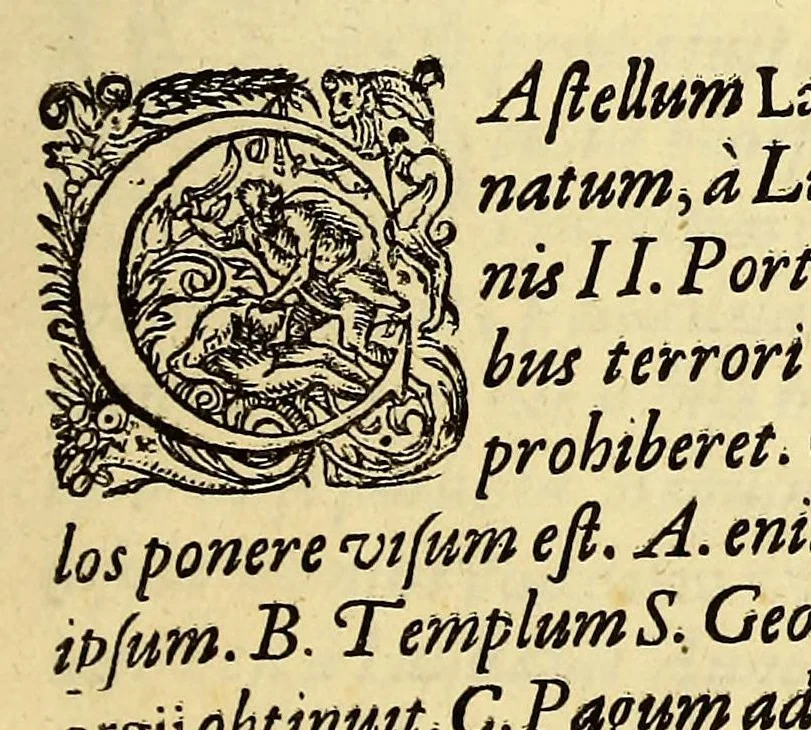 An illustration from Indiae Orientalis pars VI. Veram et historicam descriptionem auriferi regni Guineae, ad Africam pertinentis, quod alias littus de Mina vocant, : continens, qua situs loci, ratio vrbium & domorum, portus item & flumina varia, cum variis incolarum superstitionibus, educatione, forma, commerciis, linguis & moribus, succincta breuitate explicantur & percensentur., 1604, leaf 191