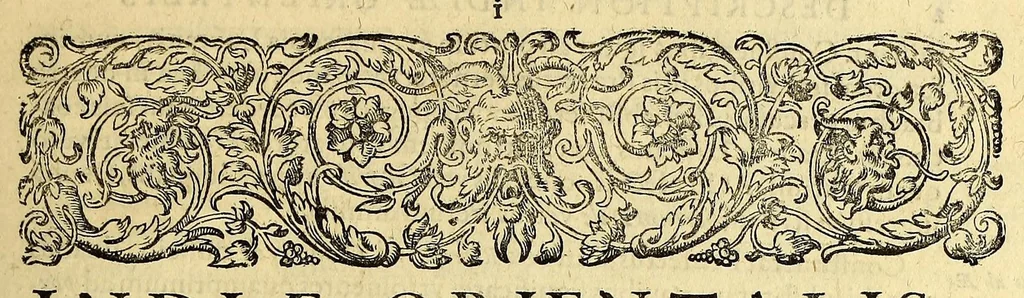 An illustration from Indiae Orientalis pars septima; Nauigationes duas, primam, trium annorum, à Georgio Spilbergio, trium nauium praefecto, Ann. 1601. ex Selandia in Indiam Orientalem susceptam: : alteram, nouem annorum, à Casparo Balby, gemmario Veneto, anno 1579. ex Alepo Babyloniam versus, & inde porro ad regnum Pegu vsque continuatam, continens. Omnium, quae illi quidem ad annum 1604. huic vero ad annum 1588. vsque acciderunt, commemoratione; regnum item, locorum, populorum, rituumque variorum descriptione addita., 1606, leaf 11