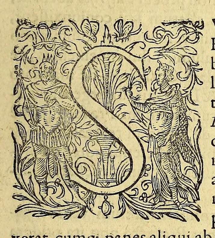 An illustration from Indiae Orientalis pars septima; Nauigationes duas, primam, trium annorum, à Georgio Spilbergio, trium nauium praefecto, Ann. 1601. ex Selandia in Indiam Orientalem susceptam: : alteram, nouem annorum, à Casparo Balby, gemmario Veneto, anno 1579. ex Alepo Babyloniam versus, & inde porro ad regnum Pegu vsque continuatam, continens. Omnium, quae illi quidem ad annum 1604. huic vero ad annum 1588. vsque acciderunt, commemoratione; regnum item, locorum, populorum, rituumque variorum descriptione addita., 1606, leaf 11