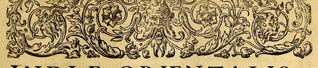An illustration from Indiae Orientalis pars septima; Nauigationes duas, primam, trium annorum, à Georgio Spilbergio, trium nauium praefecto, Ann. 1601. ex Selandia in Indiam Orientalem susceptam: : alteram, novem annorum, à Casparo Balby, gemmario Veneto, anno 1579. ex Alepo Babyloniam versus, & inde porro ad regnum Pegu vsque continuatam, continens. Omnium, quae illi quidem ad annum 1604. huic vero ad annum 1588. vsque acciderunt, commemoratione; regnum item, locorum, populorum, tituumqie variorum descriptione addita., 1606, leaf 11