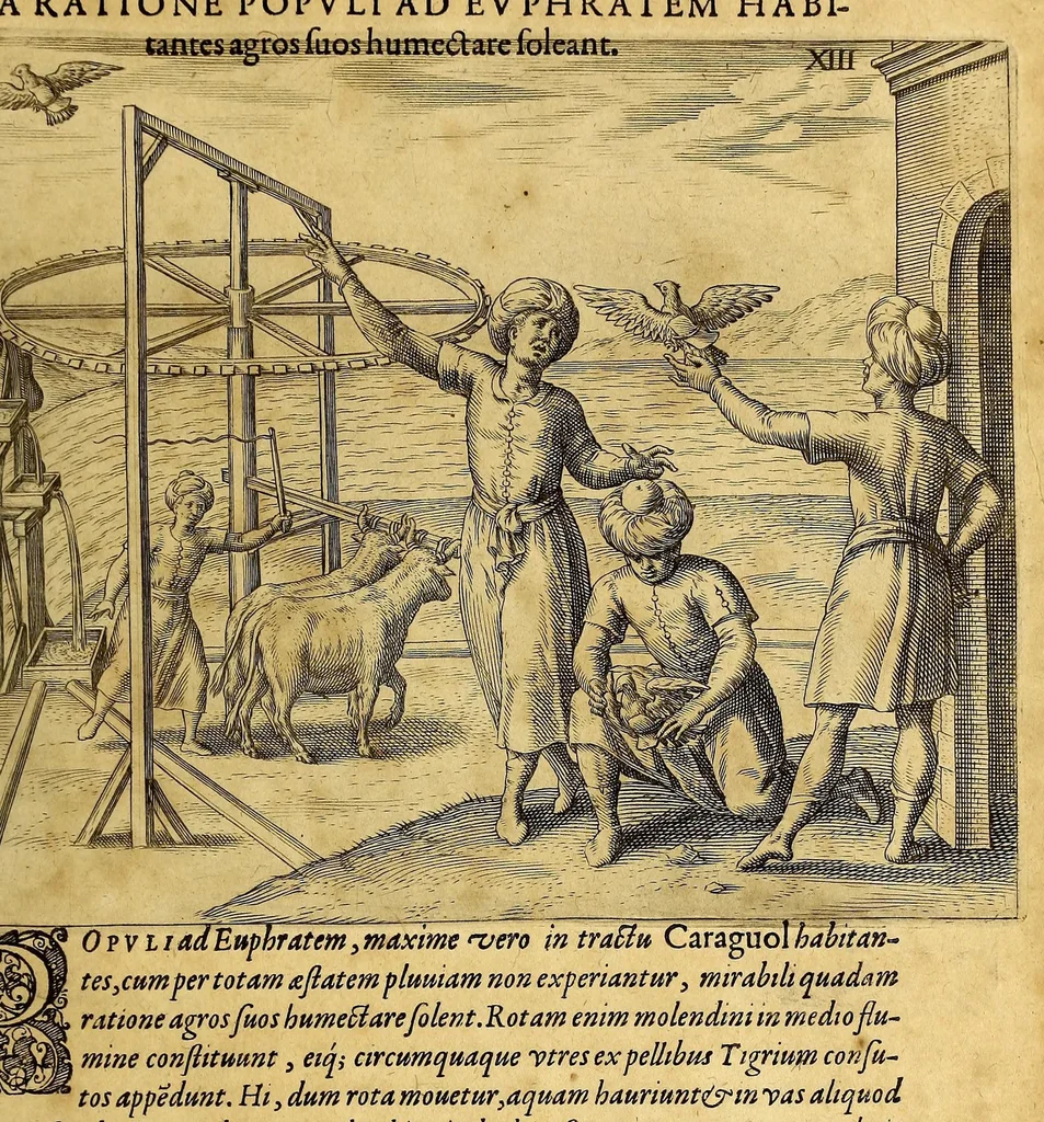 An illustration from Indiae Orientalis pars septima; Nauigationes duas, primam, trium annorum, à Georgio Spilbergio, trium nauium praefecto, Ann. 1601. ex Selandia in Indiam Orientalem susceptam: : alteram, novem annorum, à Casparo Balby, gemmario Veneto, anno 1579. ex Alepo Babyloniam versus, & inde porro ad regnum Pegu vsque continuatam, continens. Omnium, quae illi quidem ad annum 1604. huic vero ad annum 1588. vsque acciderunt, commemoratione; regnum item, locorum, populorum, tituumqie variorum descriptione addita., 1606, leaf 167