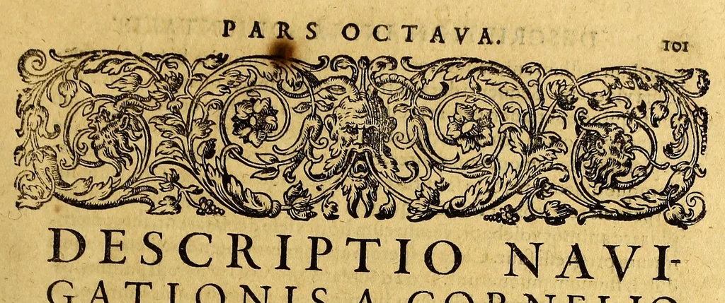 An illustration from Indiae Orientalis pars octaua: Navigationes quinque, : primam, à Iacobo Neccio, ab anno 1600. vsque ad annum 1603. Secundam, à Iohanne Hermanno de Bree, ab anno 1602. vsq[ue], ad annum 1604. Tertiam, à Cornelio Nicolai, annis quatuor. Quartam, à Cornelio de Vena, duobus annis. Quintam, sub Stephano de Hagen tribus annis, in Indiam Orientalem susceptas & peractas continens. Locorum, regnum, populorum, rituuḿque variorum descriptione, victoriarum item à Lusitanis reportatarum, & Araboinae, Tidoriśque expugnationis commemoratione addita., 1607, leaf 101