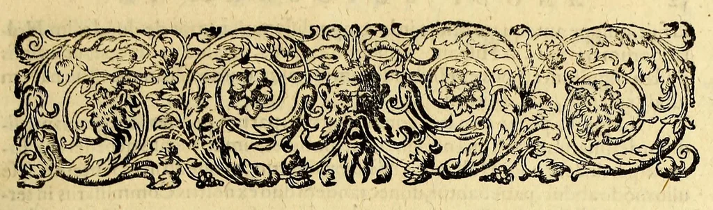 An illustration from Indiae Orientalis pars vndecima, : quâ continetur I. Duarum navigationum, quas jussu Emanuelis Portugalliae regis in Indiam Orientalem Ann. 1501. Dn. Americus Vesputius instituit, historia. II. Vera atque hactenus inaudita Angli cujusdam relatio, qui nave quadam, cui Ascenionis nomen, in extremam Indiae Orientalis oram Cambajam vectus, ac naufragium ibidem passus, postea quàm plurimas nobis incognitas regiones, amplissimasq[ue] urbes peragravit, ińque iis multa lectu auditúque jucunda observavit. III. Descriptio regionis Spitzbergae additâ simul relatione in juriarum, quas Ann. 1613. alii piscatores ab Anglis perpessi sunt: & protestatione contra Anglos, qui sibi folis omne jus in istam regionem vendicarunt. Nunc primum Latio donata, atq[ue] elegantissimè in aes incisis imaginibus illustratae., 1619, leaf 17