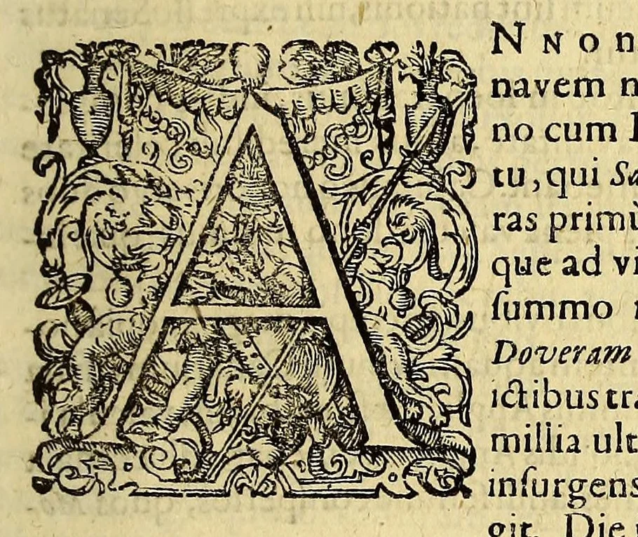 An illustration from Indiae Orientalis pars vndecima, : quâ continetur I. Duarum navigationum, quas jussu Emanuelis Portugalliae regis in Indiam Orientalem Ann. 1501. Dn. Americus Vesputius instituit, historia. II. Vera atque hactenus inaudita Angli cujusdam relatio, qui nave quadam, cui Ascenionis nomen, in extremam Indiae Orientalis oram Cambajam vectus, ac naufragium ibidem passus, postea quàm plurimas nobis incognitas regiones, amplissimasq[ue] urbes peragravit, ińque iis multa lectu auditúque jucunda observavit. III. Descriptio regionis Spitzbergae additâ simul relatione in juriarum, quas Ann. 1613. alii piscatores ab Anglis perpessi sunt: & protestatione contra Anglos, qui sibi folis omne jus in istam regionem vendicarunt. Nunc primum Latio donata, atq[ue] elegantissimè in aes incisis imaginibus illustratae., 1619, leaf 17