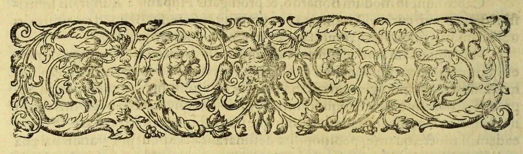 An illustration from Indiae Orientalis pars vndecima, : quâ continetur I. Duarum navigationum, quas jussu Emanuelis Portugalliae regis in Indiam Orientalem Ann. 1501. Dn. Americus Vesputius instituit, historia. II. Vera atque hactenus inaudita Angli cujusdam relatio, qui nave quadam, cui Ascenionis nomen, in extremam Indiae Orientalis oram Cambajam vectus, ac naufragium ibidem passus, postea quàm plurimas nobis incognitas regiones, amplissimasq[ue] urbes peragravit, ińque iis multa lectu auditúque jucunda observavit. III. Descriptio regionis Spitzbergae additâ simul relatione in juriarum, quas Ann. 1613. alii piscatores ab Anglis perpessi sunt: & protestatione contra Anglos, qui sibi folis omne jus in istam regionem vendicarunt. Nunc primum Latio donata, atq[ue] elegantissimè in aes incisis imaginibus illustratae., 1619, leaf 66