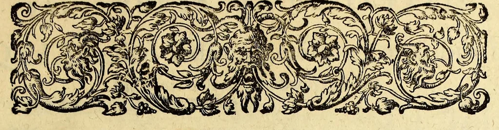 An illustration from Indiae Orientalis pars vndecima, : quâ continetur I. Duarum navigationum, quas jussu Emanuelis Portugalliae regis in Indiam Orientalem Ann. 1501. Dn. Americus Vesputius instituit, historia. II. Vera atque hactenus inaudita Angli cujusdam relatio, qui nave quadam, cui Ascenionis nomen, in extremam Indiae Orientalis oram Cambajam vectus, ac naufragium ibidem passus, postea quàm plurimas nobis incognitas regiones, amplissimasq[ue] urbes peragravit, ińque iis multa lectu auditúque jucunda observavit. III. Descriptio regionis Spitzbergae additâ simul relatione in juriarum, quas Ann. 1613. alii piscatores ab Anglis perpessi sunt: & protestatione contra Anglos, qui sibi folis omne jus in istam regionem vendicarunt. Nunc primum Latio donata, atq[ue] elegantissimè in aes incisis imaginibus illustratae., 1619, leaf 71