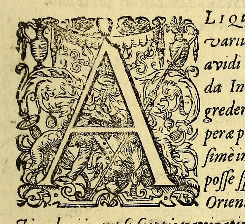 An illustration from Indiae Orientalis pars vndecima, : quâ continetur I. Duarum navigationum, quas jussu Emanuelis Portugalliae regis in Indiam Orientalem Ann. 1501. Dn. Americus Vesputius instituit, historia. II. Vera atque hactenus inaudita Angli cujusdam relatio, qui nave quadam, cui Ascenionis nomen, in extremam Indiae Orientalis oram Cambajam vectus, ac naufragium ibidem passus, postea quàm plurimas nobis incognitas regiones, amplissimasq[ue] urbes peragravit, ińque iis multa lectu auditúque jucunda observavit. III. Descriptio regionis Spitzbergae additâ simul relatione in juriarum, quas Ann. 1613. alii piscatores ab Anglis perpessi sunt: & protestatione contra Anglos, qui sibi folis omne jus in istam regionem vendicarunt. Nunc primum Latio donata, atq[ue] elegantissimè in aes incisis imaginibus illustratae., 1619, leaf 9
