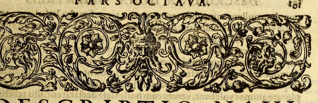 An illustration from Indiae Orientalis pars octaua: Navigationes quinque, : primam, à Iacobo Neccio, ab anno 1600. vsque ad annum 1603. Secundam, à Iohanne Hermanno de Bree, ab anno 1602. vsq[ue], ad annum 1604. Tertiam, à Cornelio Nicolai, annis quatuor. Quartam, à Cornelio de Vena, duobus annis. Quintam, sub Stephano de Hagen tribus annis, in Indiam Orientalem susceptas & peractas continens. Locorum, regnum, populorum, rituuḿque variorum descriptione, victoriarum item à Lusitanis reportatarum, & Araboinae, Tidoriśque expugnationis commemoratione addita., 1607, leaf 107