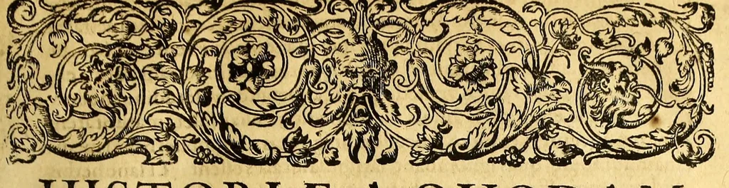 An illustration from Indiae Orientalis pars octaua: Navigationes quinque, : primam, à Iacobo Neccio, ab anno 1600. vsque ad annum 1603. Secundam, à Iohanne Hermanno de Bree, ab anno 1602. vsq[ue], ad annum 1604. Tertiam, à Cornelio Nicolai, annis quatuor. Quartam, à Cornelio de Vena, duobus annis. Quintam, sub Stephano de Hagen tribus annis, in Indiam Orientalem susceptas & peractas continens. Locorum, regnum, populorum, rituuḿque variorum descriptione, victoriarum item à Lusitanis reportatarum, & Araboinae, Tidoriśque expugnationis commemoratione addita., 1607, leaf 51