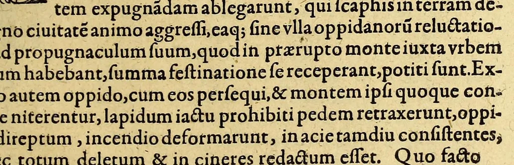 An illustration from Indiae Orientalis pars IX. Historicam descriptionem nauigationis ab Hollandis & Selandis in Indiam Orientalem, sub imperio Petri-Guilielmi Verhuffii, cum nouem maiorem & quatuor minorum navium classe, annis 1607. 1608. & 1609. susceptae & peractae, &c. continens: : addita omnium, quae hoc tempore eis obtigerunt, annotatione;, 1612, leaf 193