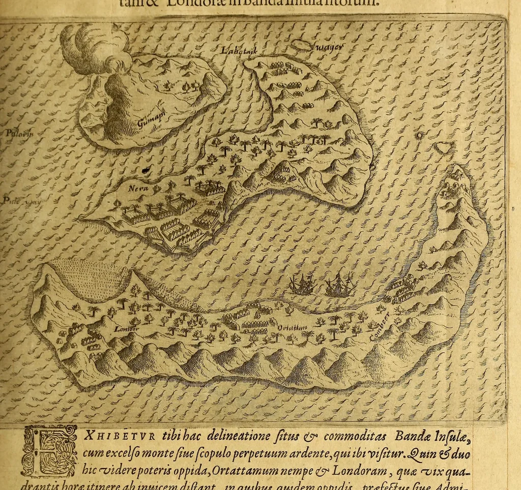 An illustration from Indiae Orientalis pars IX. Historicam descriptionem nauigationis ab Hollandis & Selandis in Indiam Orientalem, sub imperio Petri-Guilielmi Verhuffii, cum nouem maiorem & quatuor minorum nauium classe, annis 1607. 1608. & 1609. susceptae & peractae, &c. continens: : addita omnium, quae hoc tempore eis obtigerunt, annotatione;, 1612, leaf 91