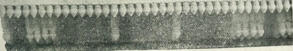 An illustration from [Indian art at Delhi, 1903. Being the official catalogue of the Delhi exhibition, 1902-1903, 1903, leaf 110