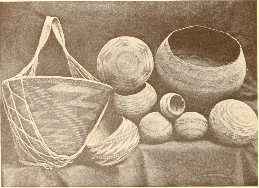 An illustration from Indian basketry, and How to make Indian and other baskets, 1903, leaf 109