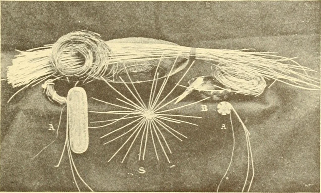 An illustration from Indian basketry, and How to make Indian and other baskets, 1903, leaf 110