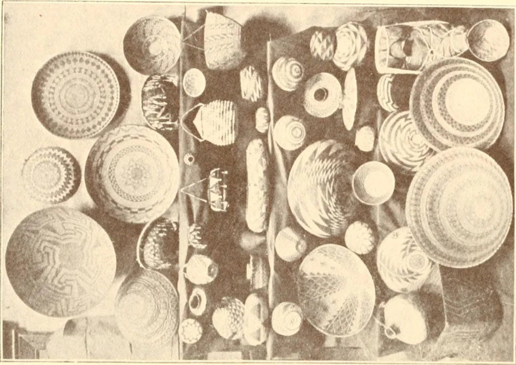 An illustration from Indian basketry, and How to make Indian and other baskets, 1903, leaf 111
