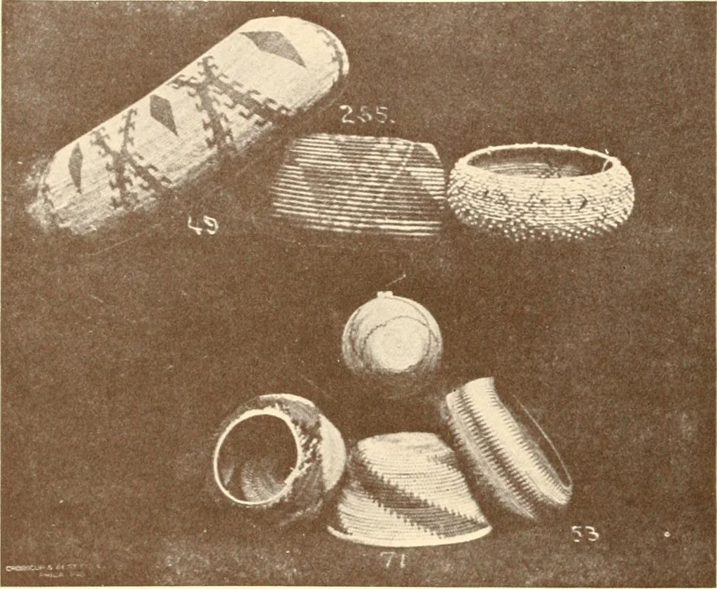 An illustration from Indian basketry, and How to make Indian and other baskets, 1903, leaf 113