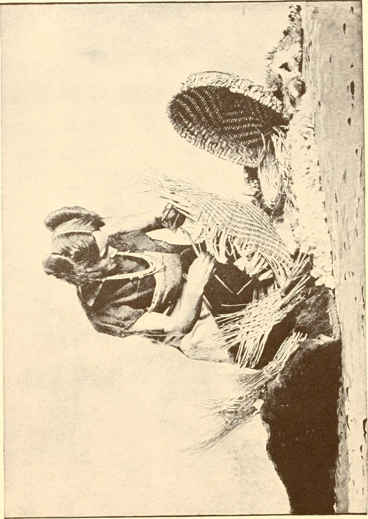 An illustration from Indian basketry, and How to make Indian and other baskets, 1903, leaf 119