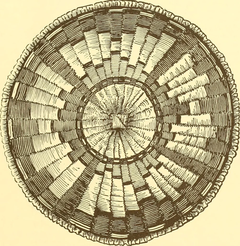 An illustration from Indian basketry, and How to make Indian and other baskets, 1903, leaf 124