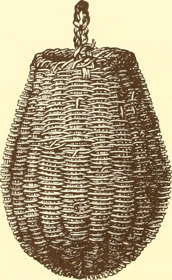 An illustration from Indian basketry, and How to make Indian and other baskets, 1903, leaf 125