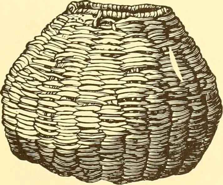 An illustration from Indian basketry, and How to make Indian and other baskets, 1903, leaf 126