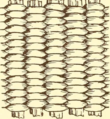 An illustration from Indian basketry, and How to make Indian and other baskets, 1903, leaf 133