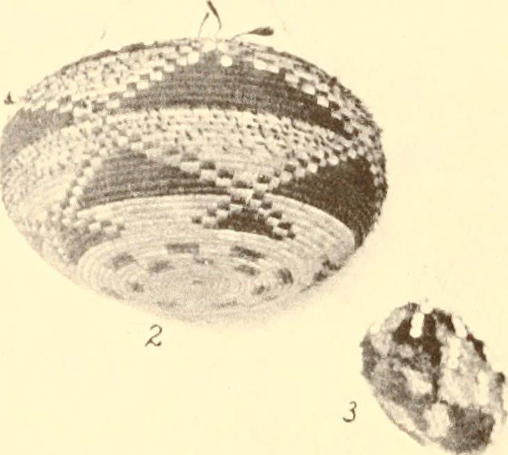 An illustration from Indian basketry, and How to make Indian and other baskets, 1903, leaf 15