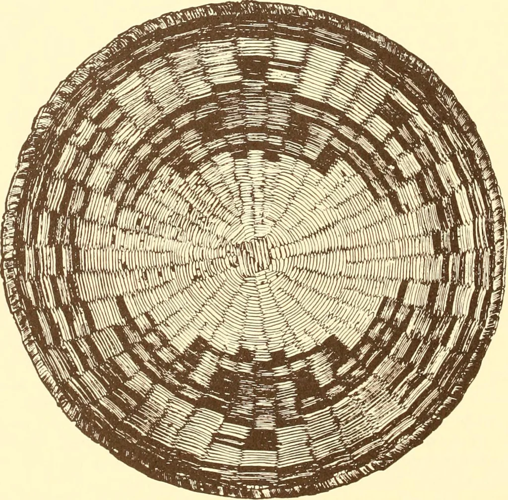 An illustration from Indian basketry, and How to make Indian and other baskets, 1903, leaf 153