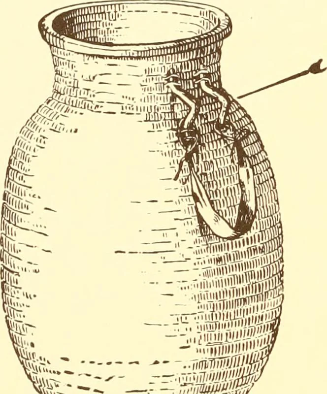 An illustration from Indian basketry, and How to make Indian and other baskets, 1903, leaf 173