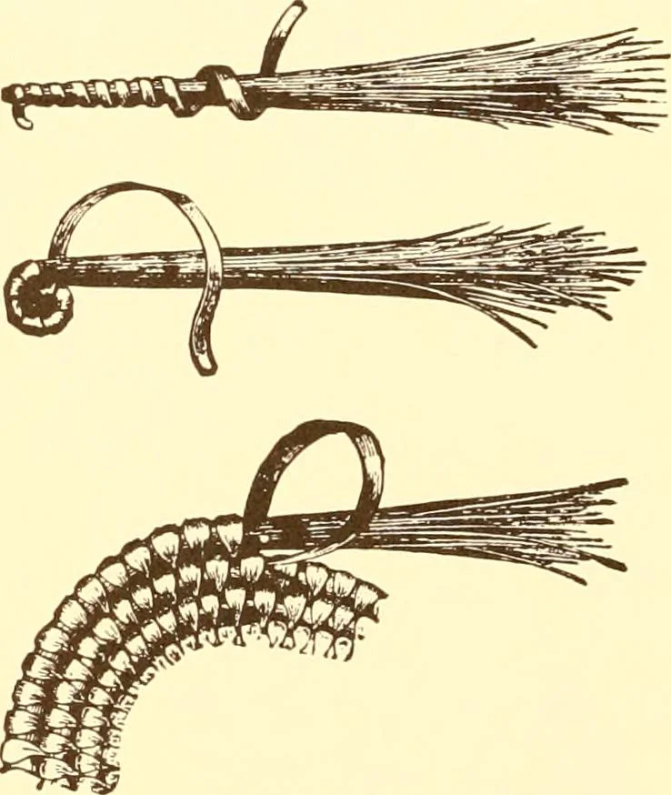 An illustration from Indian basketry, and How to make Indian and other baskets, 1903, leaf 173