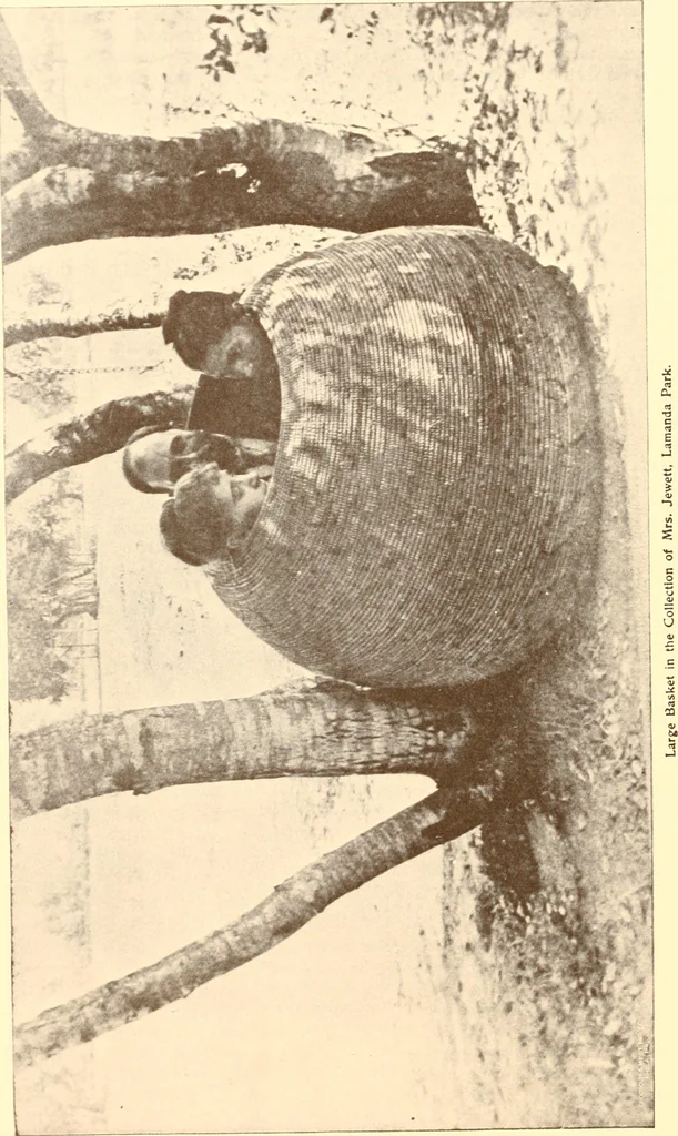 An illustration from Indian basketry, and How to make Indian and other baskets, 1903, leaf 179