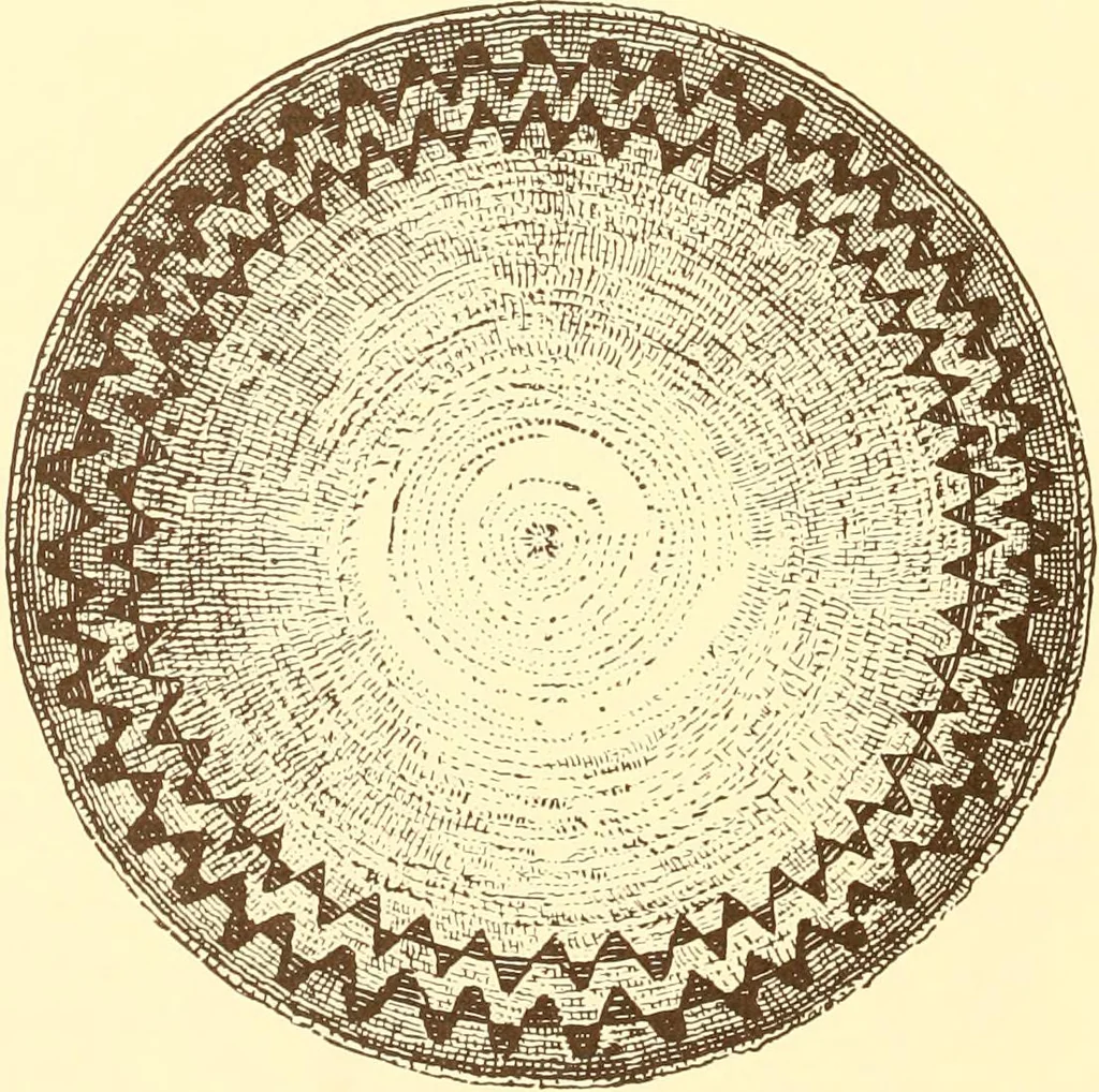 An illustration from Indian basketry, and How to make Indian and other baskets, 1903, leaf 185