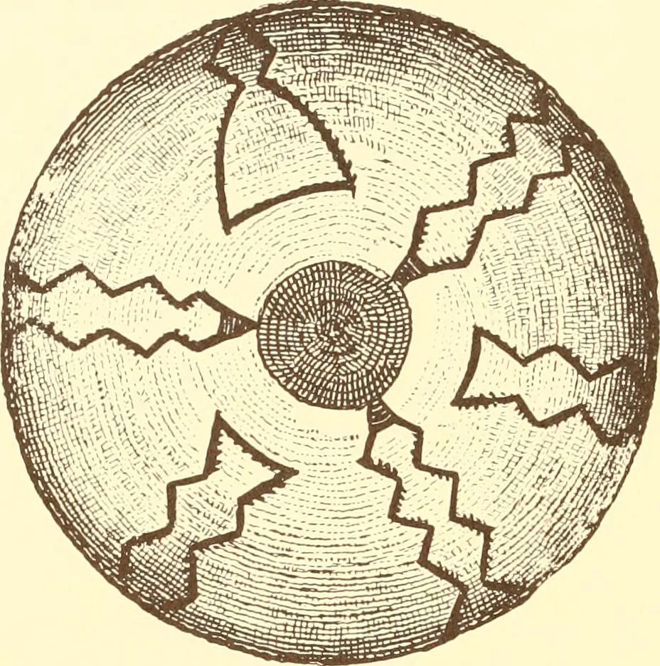 An illustration from Indian basketry, and How to make Indian and other baskets, 1903, leaf 187