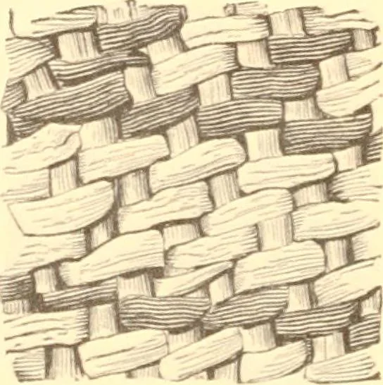 An illustration from Indian basketry, and How to make Indian and other baskets, 1903, leaf 189
