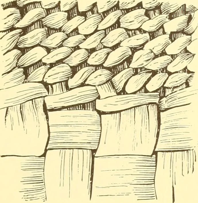 An illustration from Indian basketry, and How to make Indian and other baskets, 1903, leaf 196