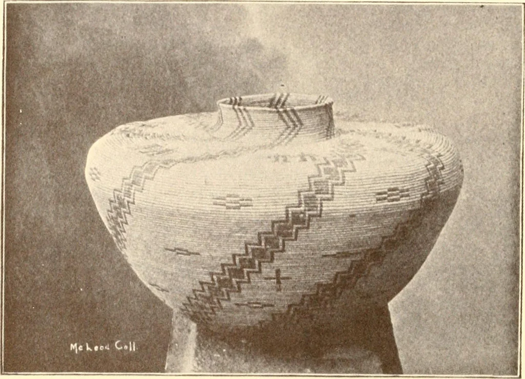 An illustration from Indian basketry, and How to make Indian and other baskets, 1903, leaf 199