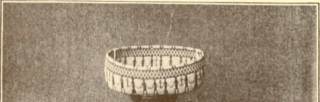 An illustration from Indian basketry, and How to make Indian and other baskets, 1903, leaf 199