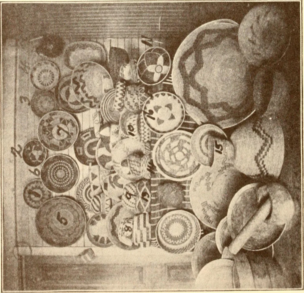 An illustration from Indian basketry, and How to make Indian and other baskets, 1903, leaf 201