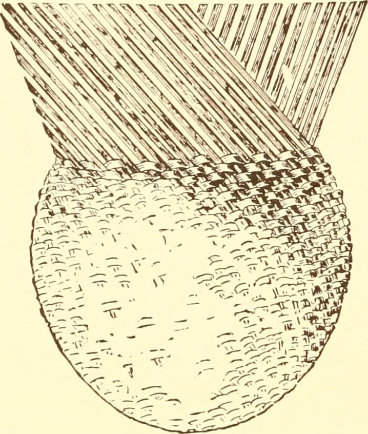 An illustration from Indian basketry, and How to make Indian and other baskets, 1903, leaf 209