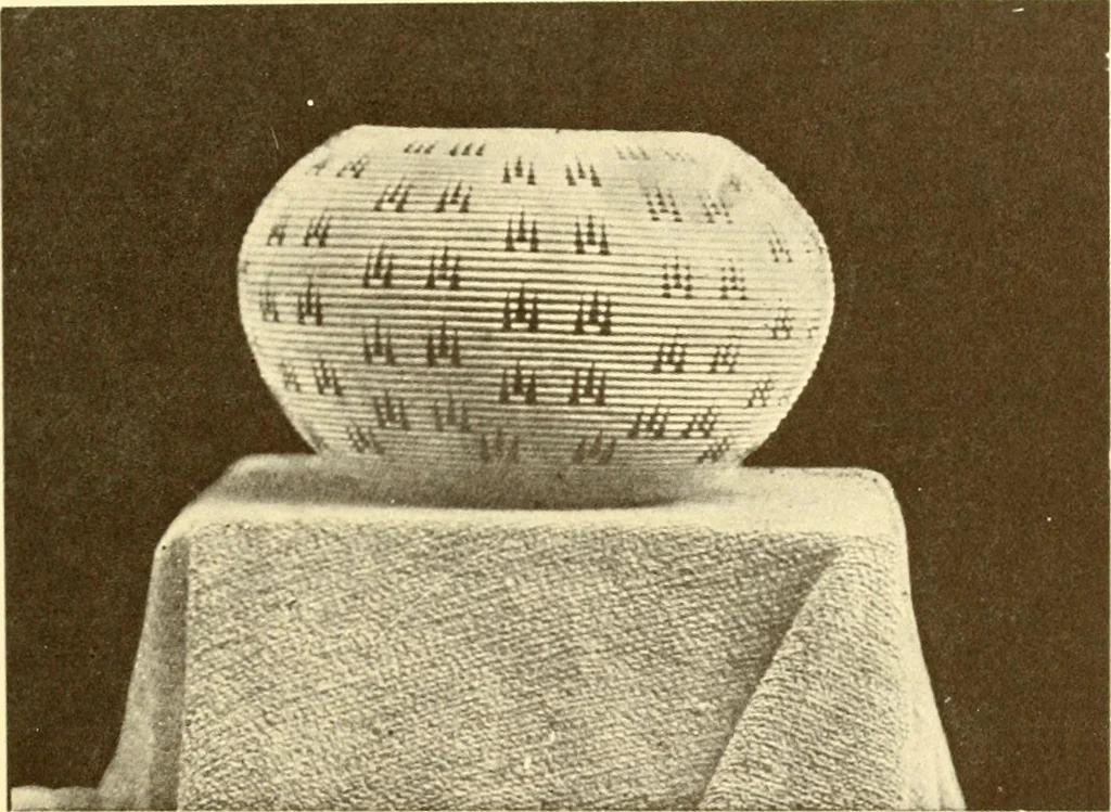 An illustration from Indian basketry, and How to make Indian and other baskets, 1903, leaf 220