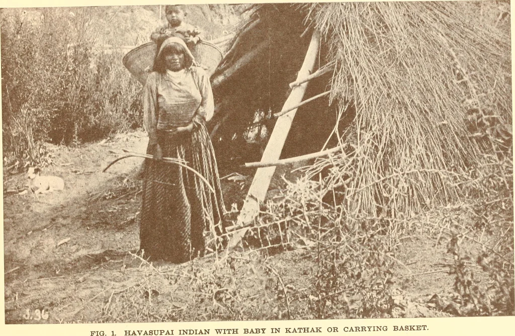 An illustration from Indian basketry, and How to make Indian and other baskets, 1903, leaf 23