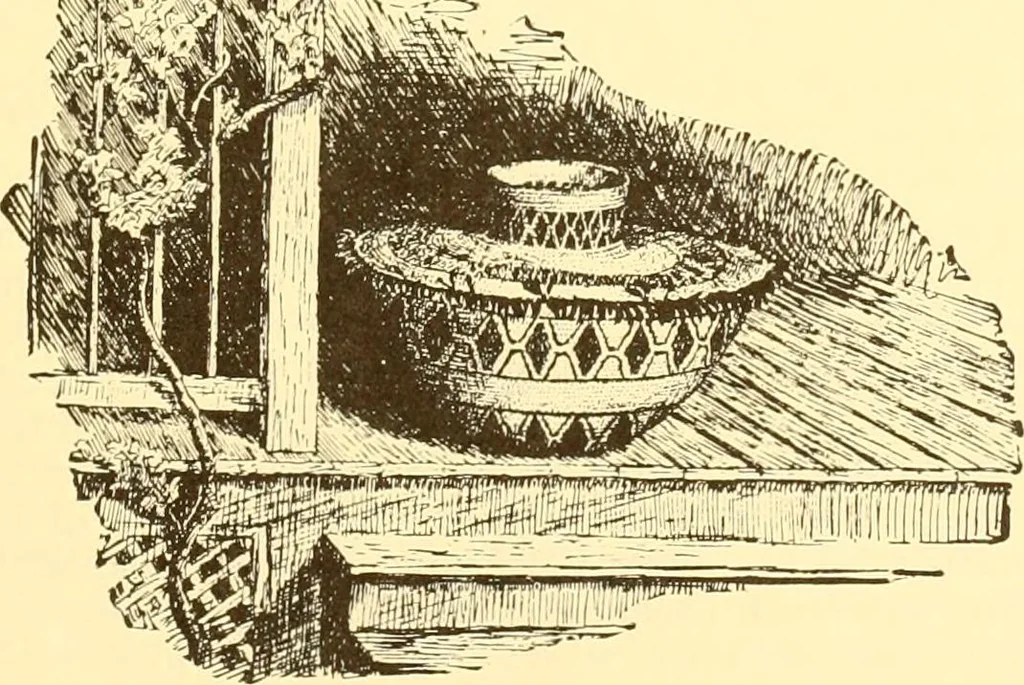 An illustration from Indian basketry, and How to make Indian and other baskets, 1903, leaf 236