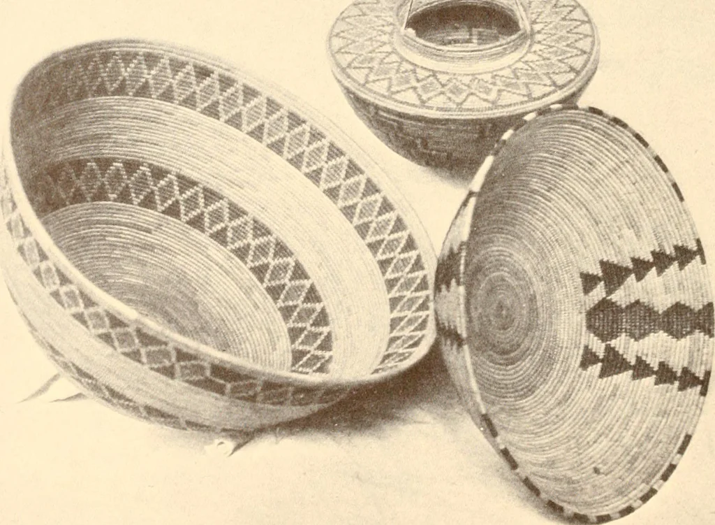 An illustration from Indian basketry, and How to make Indian and other baskets, 1903, leaf 265