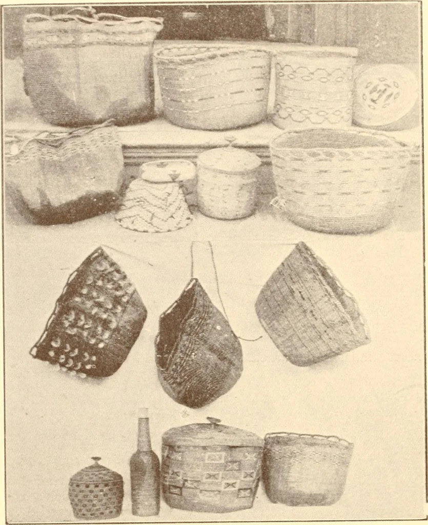 An illustration from Indian basketry, and How to make Indian and other baskets, 1903, leaf 269