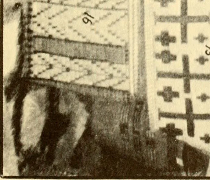 An illustration from Indian basketry, and How to make Indian and other baskets, 1903, leaf 276