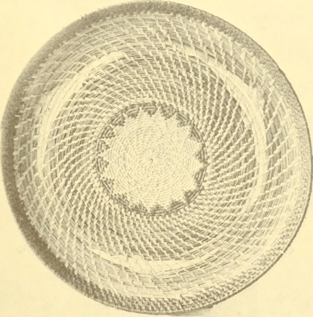 An illustration from Indian basketry, and How to make Indian and other baskets, 1903, leaf 298