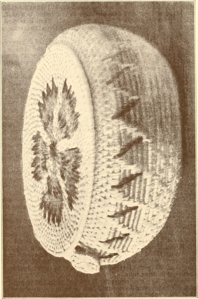 An illustration from Indian basketry, and How to make Indian and other baskets, 1903, leaf 305