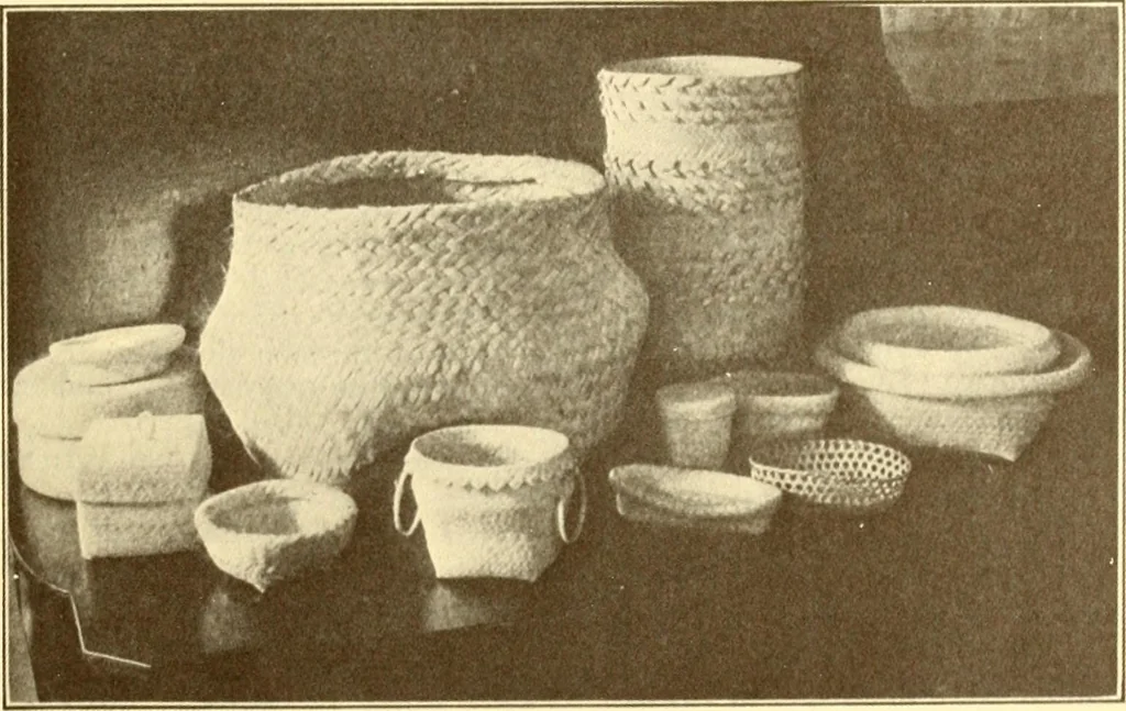 An illustration from Indian basketry, and How to make Indian and other baskets, 1903, leaf 310