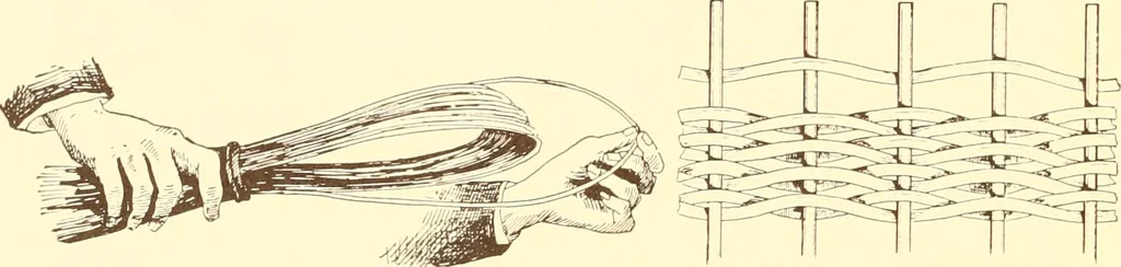 An illustration from Indian basketry, and How to make Indian and other baskets, 1903, leaf 315