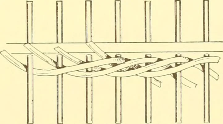 An illustration from Indian basketry, and How to make Indian and other baskets, 1903, leaf 316